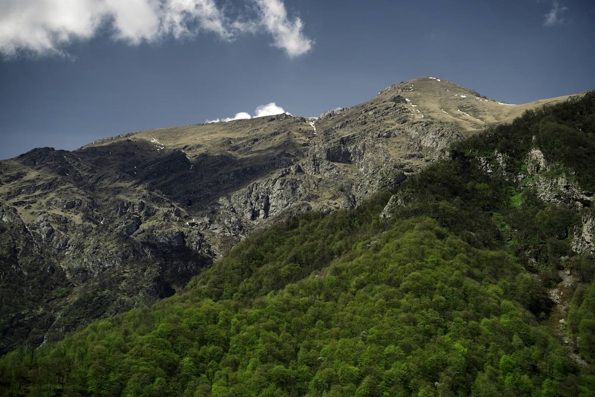 Green ridges below the snowy peak