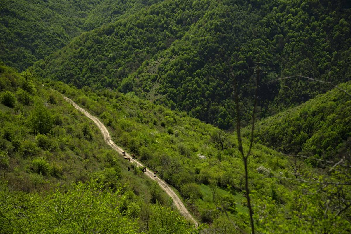 A trail along a green ridge